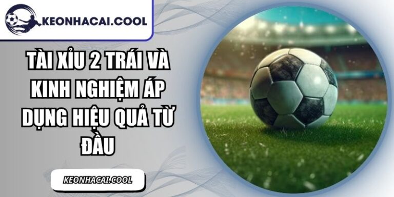 Tài Xỉu 2 Trái Và Kinh Nghiệm Áp Dụng Hiệu Quả Từ Đầu 4 Tài Xỉu 2 Trái